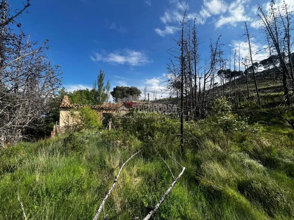 Land for sale in Borja