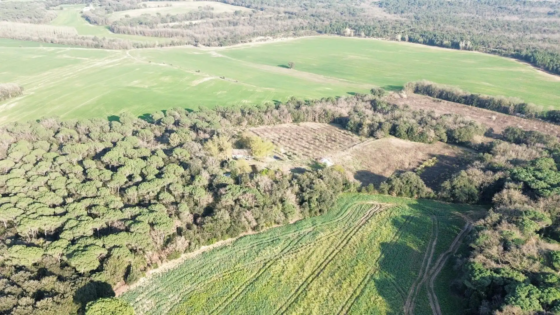 Finca rústica en venta en Vilobí d'Onyar