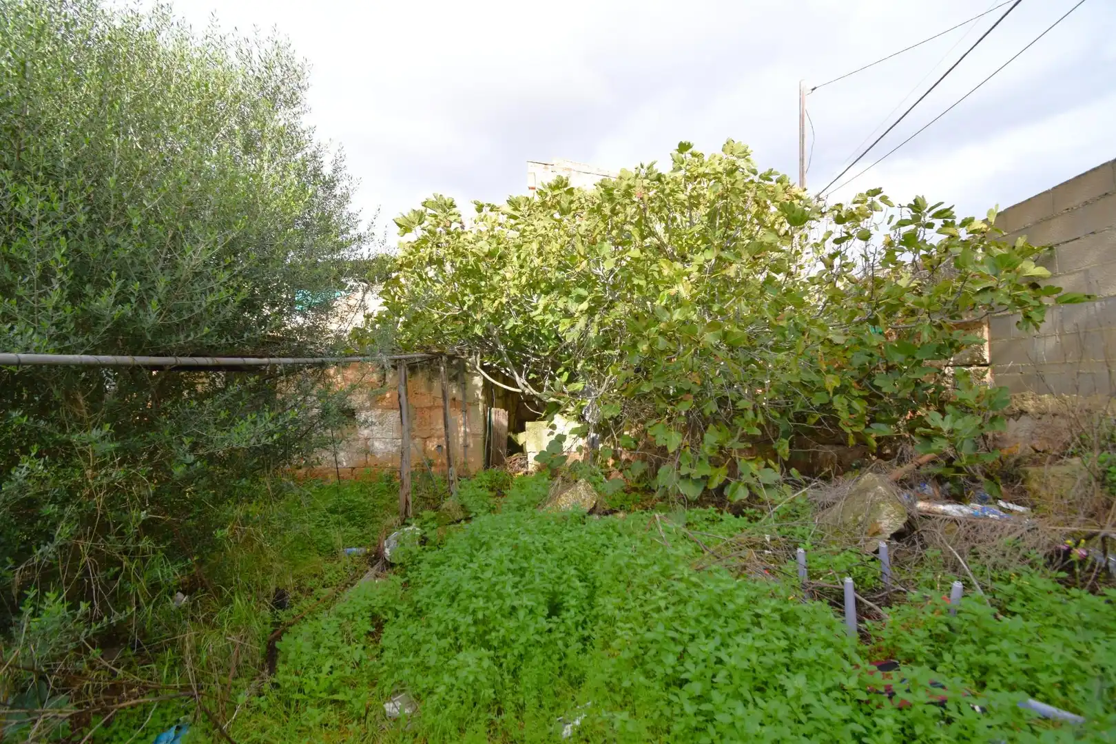 House with garden for sale in Calle Santa Anna, imagen 4