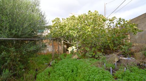Casa de pueblo para reformar con amplio jardin en Muro, imatge 4