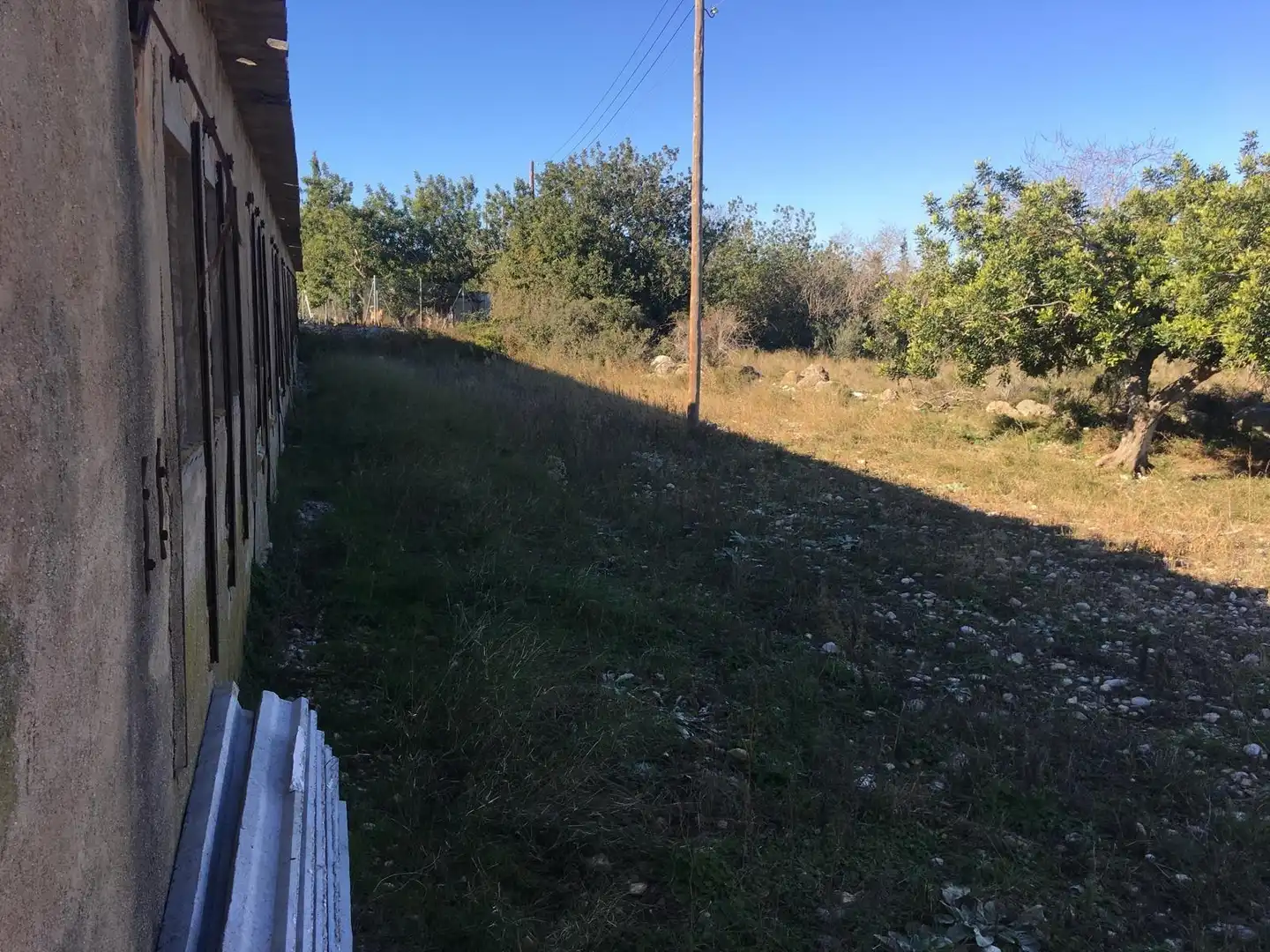 Terreny rústic en venda a Ulldecona, imagen 22