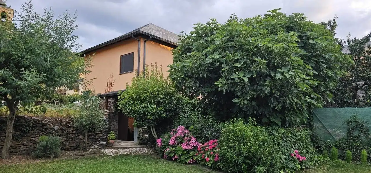 Jardí de Finca rústica en venda en Ponferrada amb Jardí privat