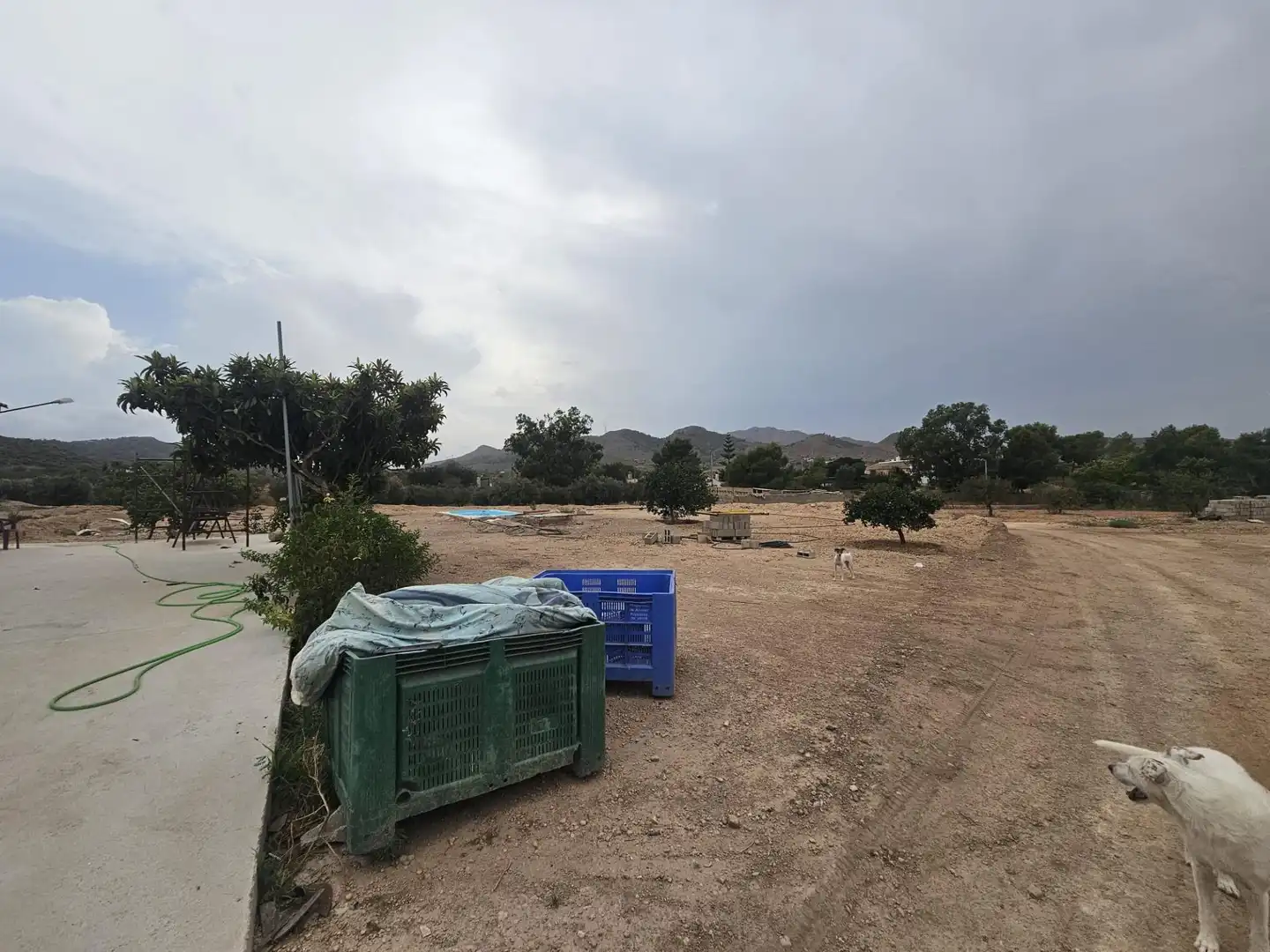 Casa rústica en venta en Polígono 34 Paraje 609 EL MINGRANO, imagen 24