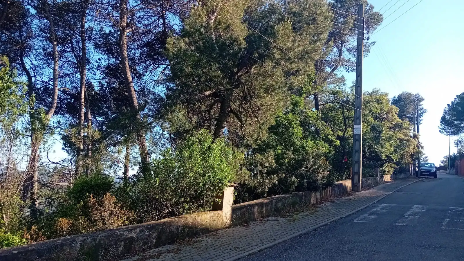 Terreny residencial en venda a Carrer del Gregal, imagen 4