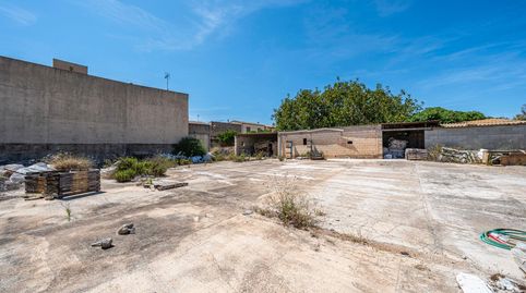 EXCLUSIVO SOLAR URBANO EN EL CENTRO DE MURO – GRAN OPORTUNIDAD DE INVERSIÓN EN MALLORCA, immagine 5