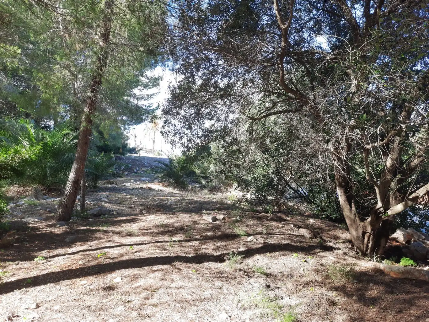 Grundstücke und Bauplätze zum Verkauf in El Montgó, imagen 14