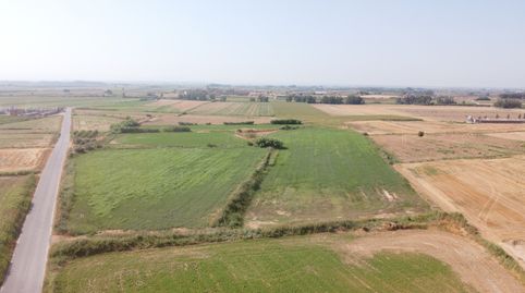 Terreno en venta en partida La serra ( la Pedrera) s/n, Bellvis, immagine 3