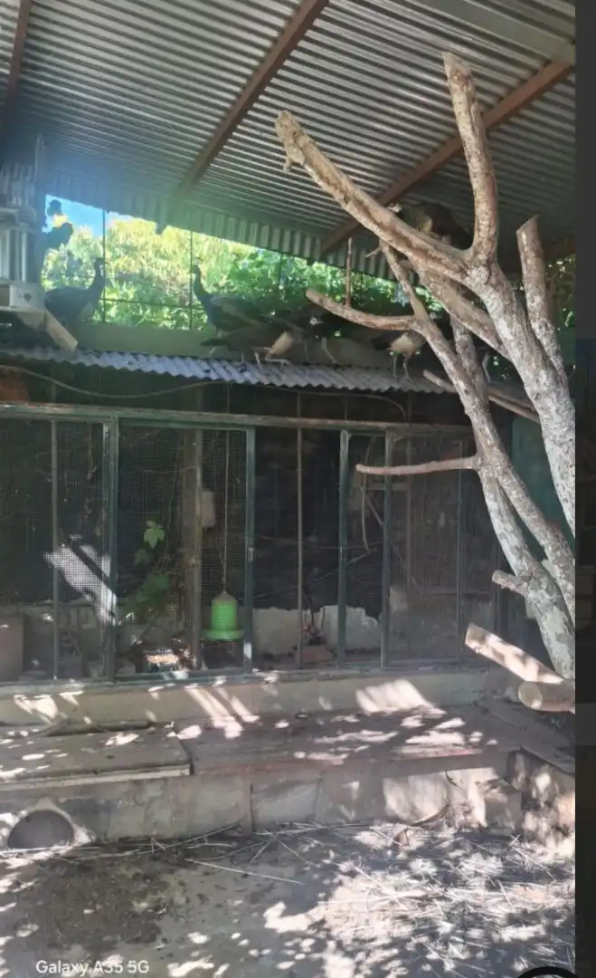 Casa rústica amb piscina en venda a Camino del Tollo, imagen 10