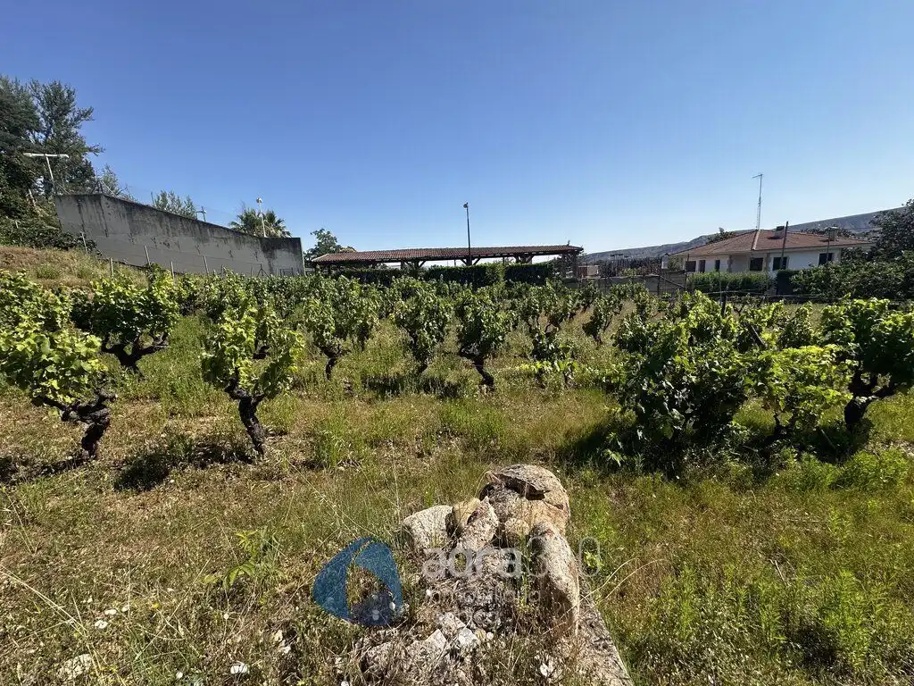 Casa con piscina in vendita a Carretera N-111, imagen 4