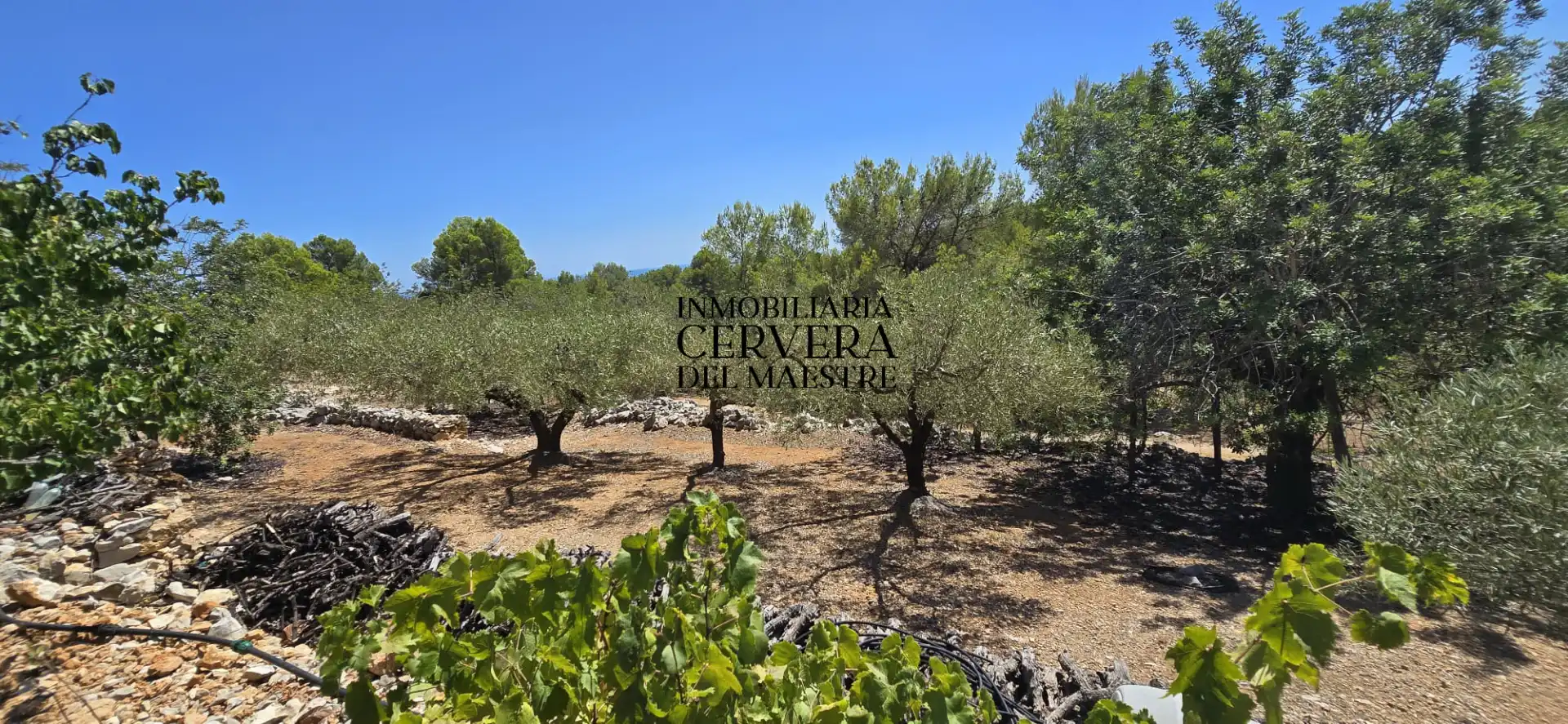 Rural land for sale in Vía Po Polígono 17 60, imagen 26