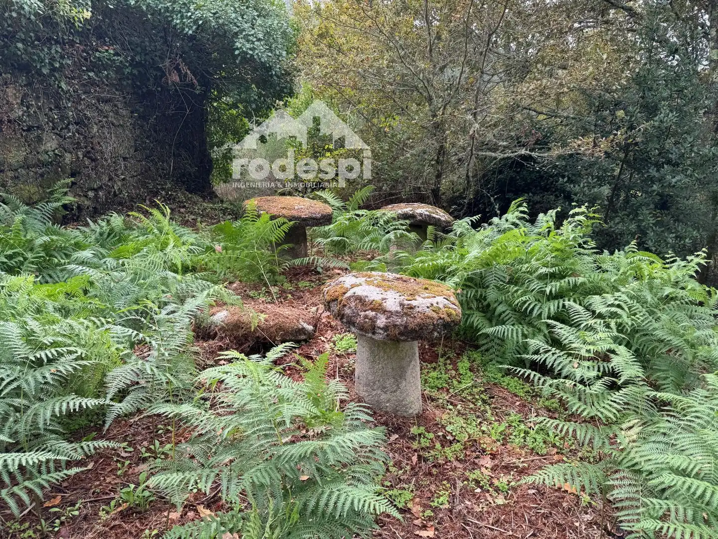 Maison à vendre à A Cañiza, imagen 11