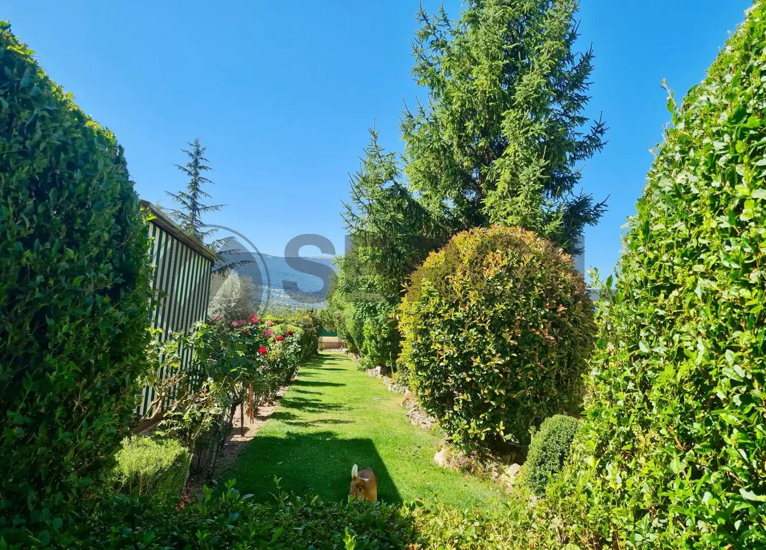 Jardín de Casa o chalet en venta en Prádena con Calefacción y Jardín privado