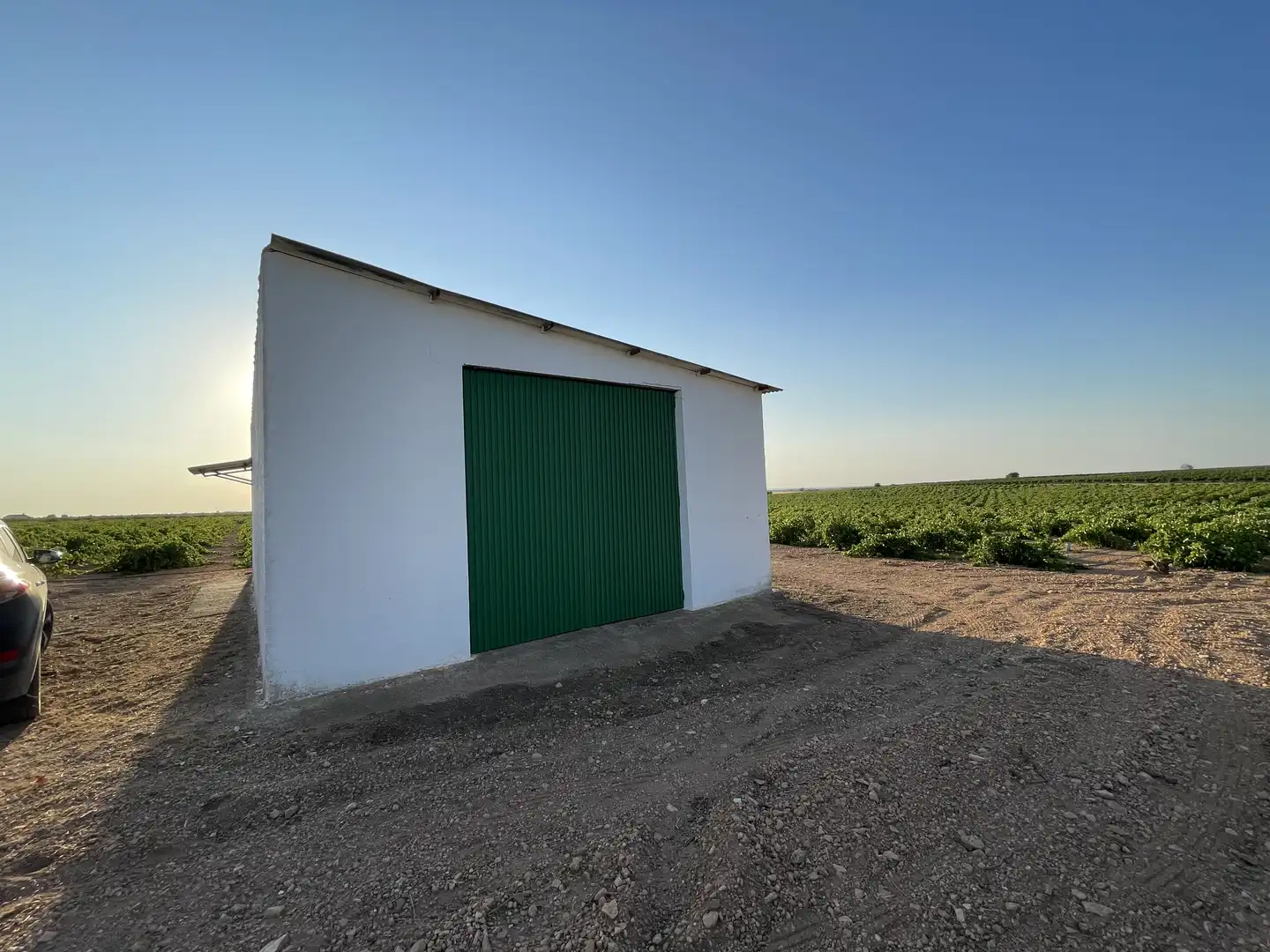 Terreno rústico en venta en Tomelloso, imagen 42