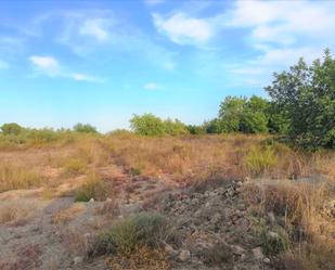 Residential for sale in Proyecto E , Llombai