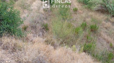 Foto 4 de Finca rústica en venta en Xgpg+h5x, Benifallet, Tarragona