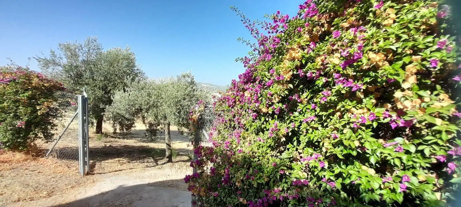 Garden of Country homes for sale in Cabra  with Air Conditioner, Heating and Private garden