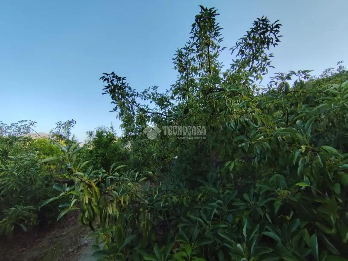 Terreno rustico in vendita a Los Guájares, imagen 6