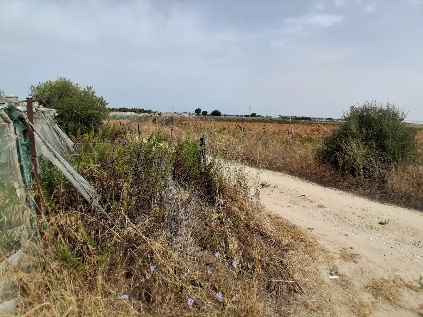 Residential land for sale in Pinar de la villa, imagen 9