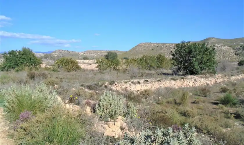 Casa o xalet en venda en Níjar amb Jardí privat, Terrassa i Moblat