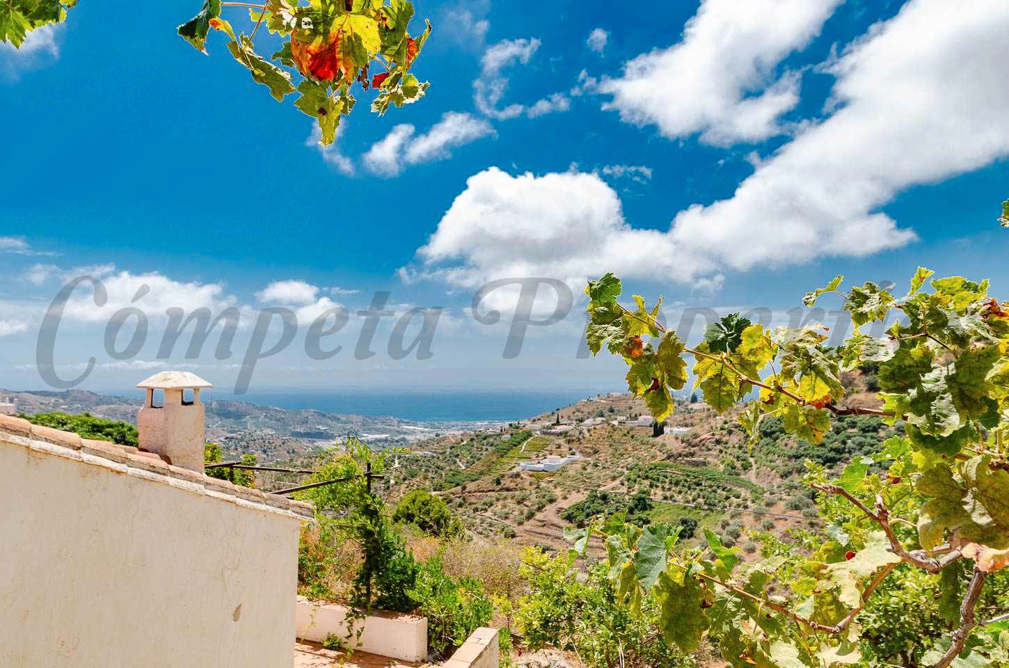 Vista exterior de Finca rústica en venta en Torrox con Jardín privado, Terraza y Piscina