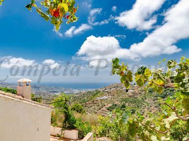 Casa rústica con piscina en venta en Carretera de Torrox