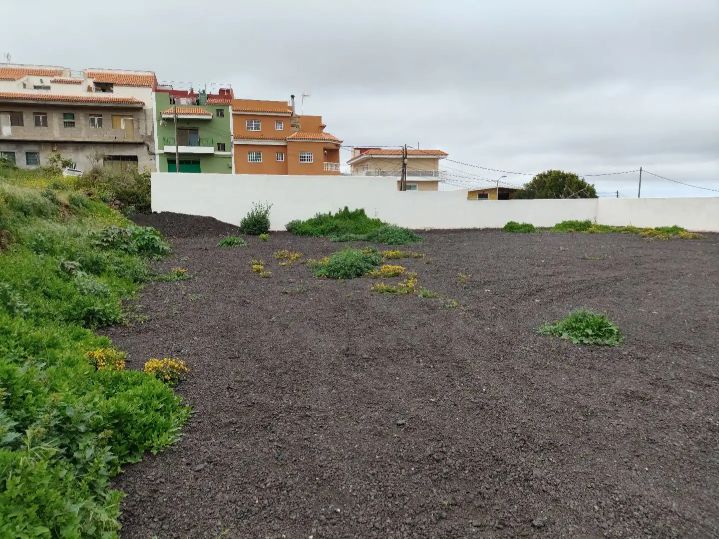 Geschaftsraum zur Miete in Santa Cruz de Tenerife mit Terrasse, Internet und Alarm