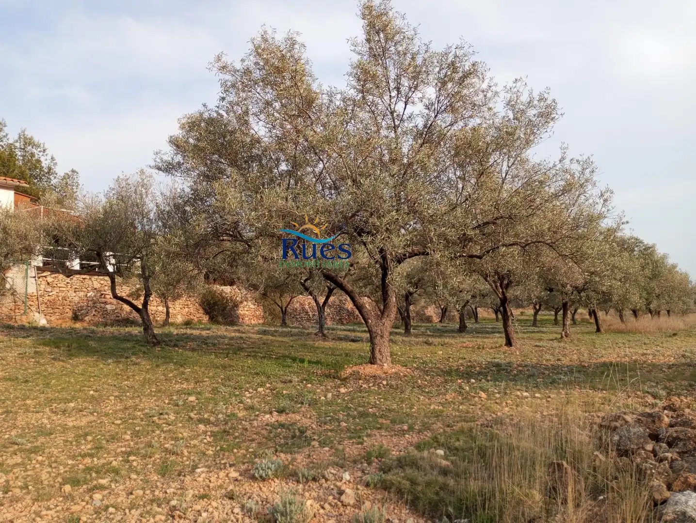 Country house zum Verkauf in MOLINO VIEJO, Figueroles