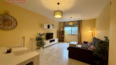 Foto 4 de Pis en venda a Pintor Aguilera Amate, Santa Rosa - Valdeolleros,  Córdoba Capital