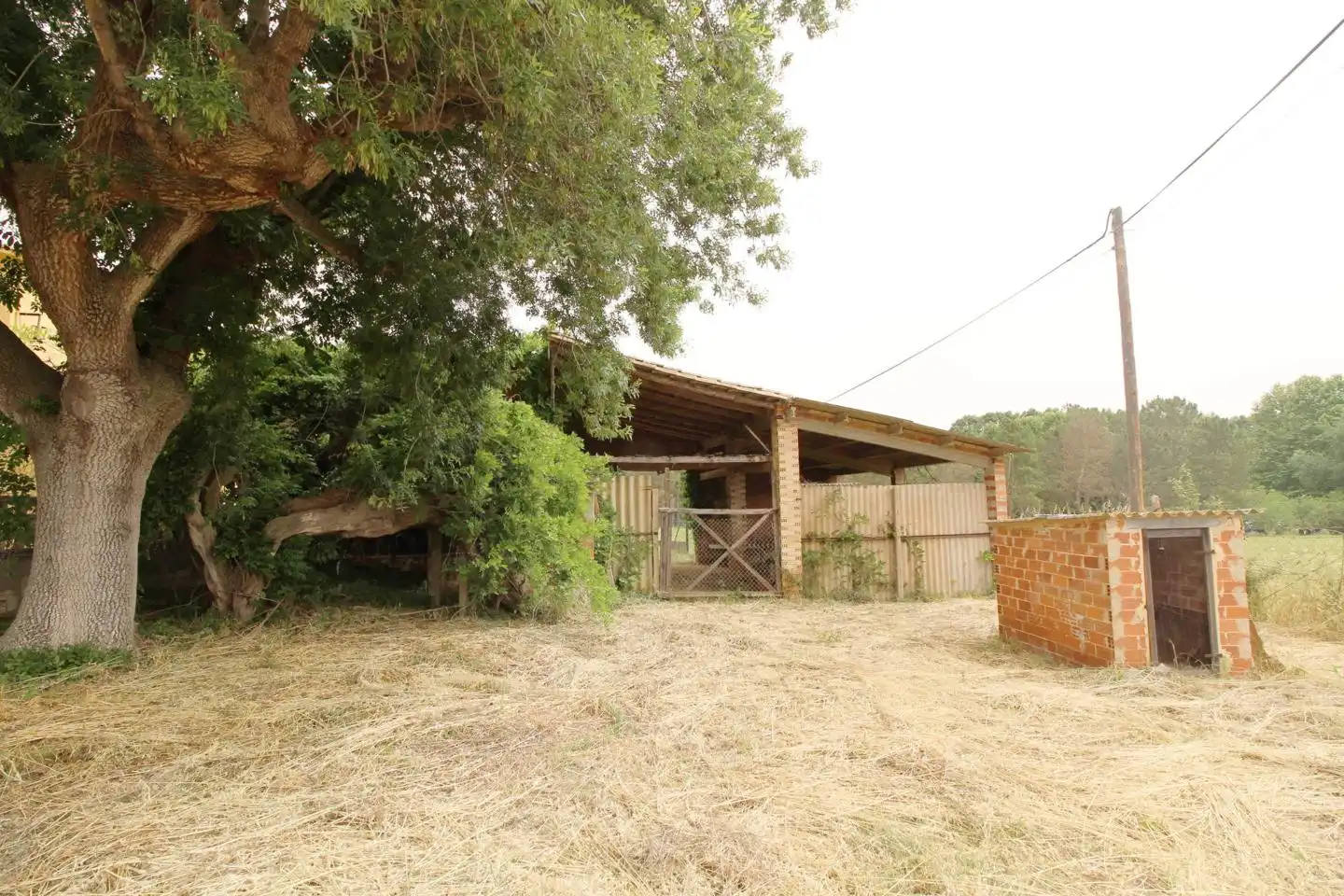 Haus mit Garten zum Verkauf in Pau Casals 560, imagen 26