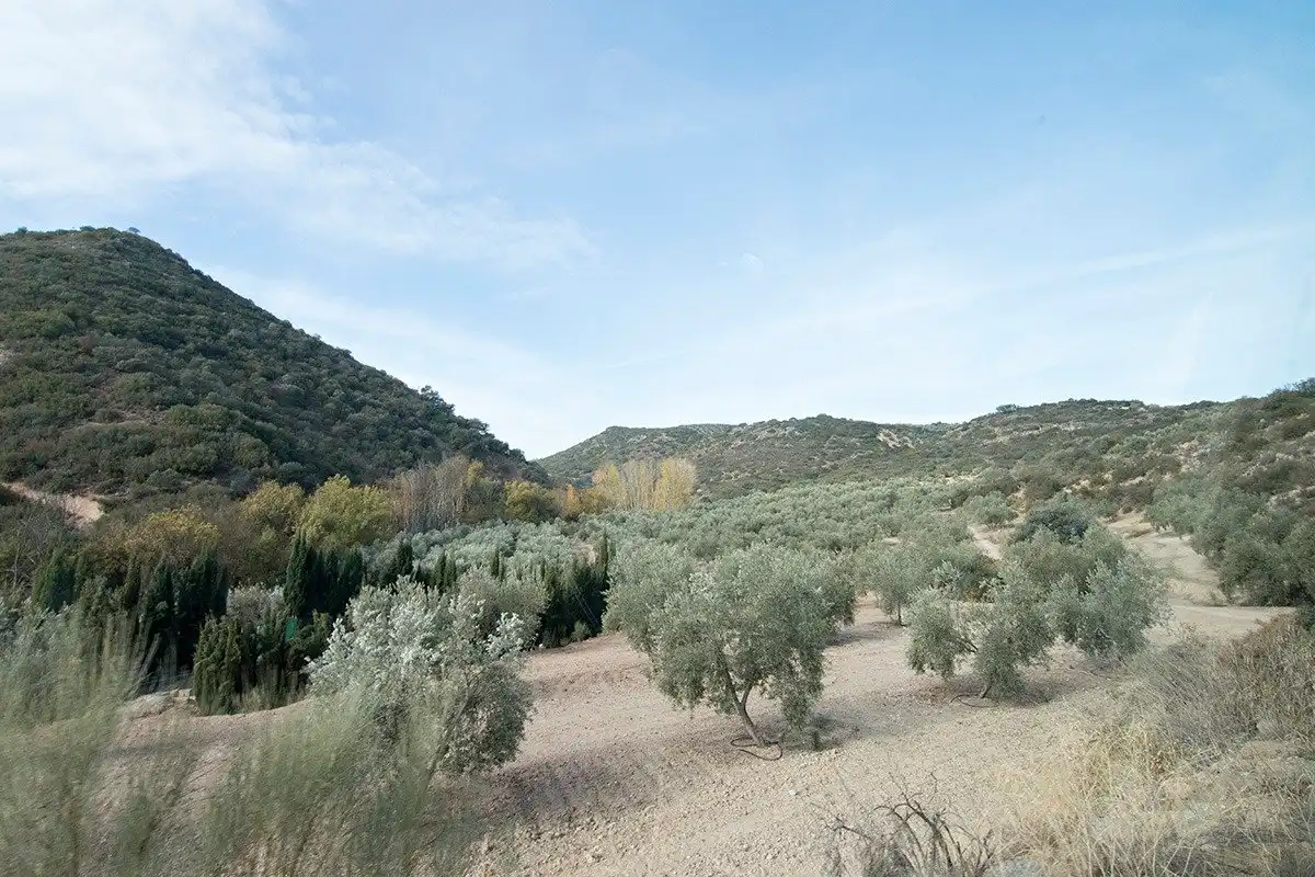 Country homes for sale in Loja