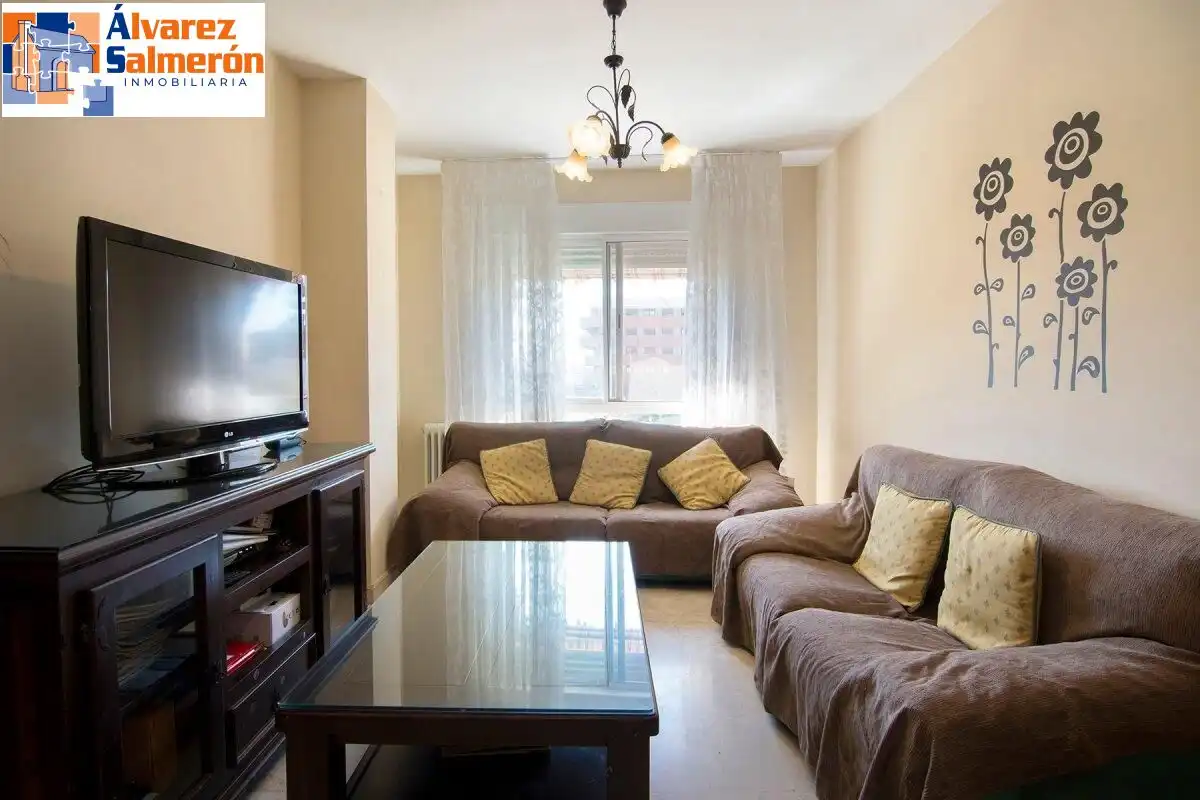 Living room of Flat for sale in Zaidín