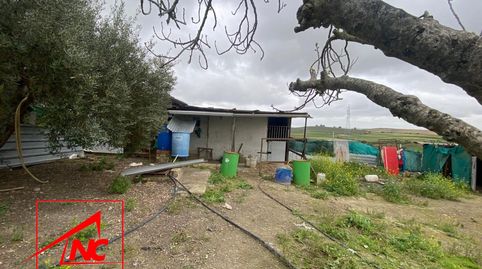 Foto 5 de Finca rústica en venda a Las Cabezas de San Juan, Sevilla
