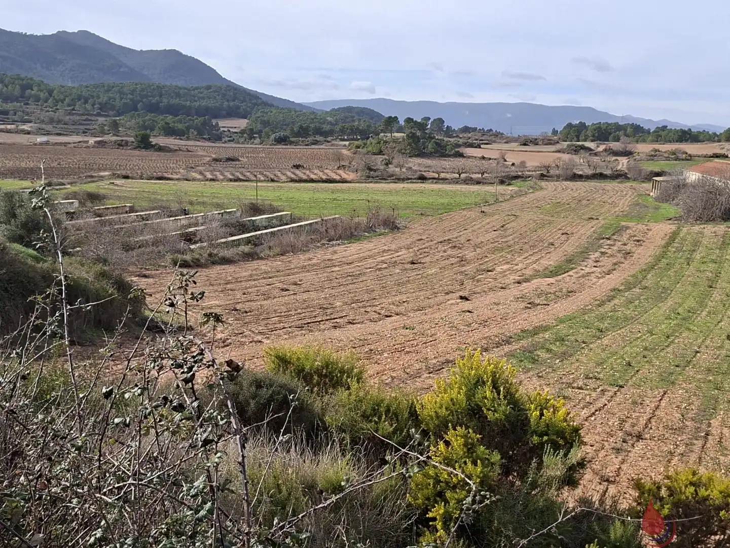 Lands and plots for sale in Cabra del Camp, imagen 4