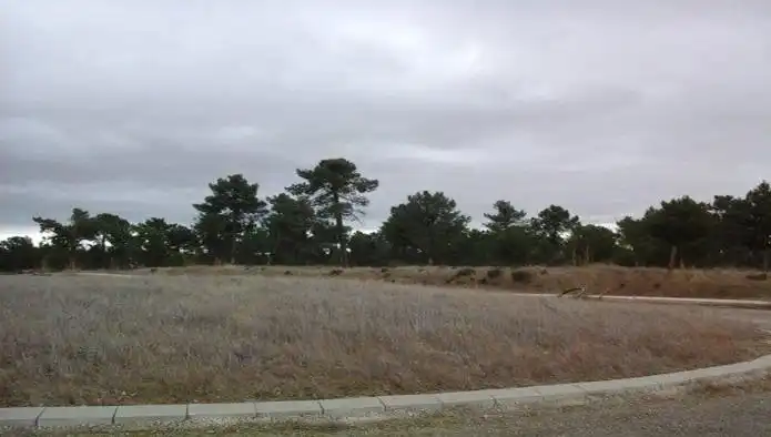 Terreni e lotti in vendita a Villanueva de Gómez, imagen 11