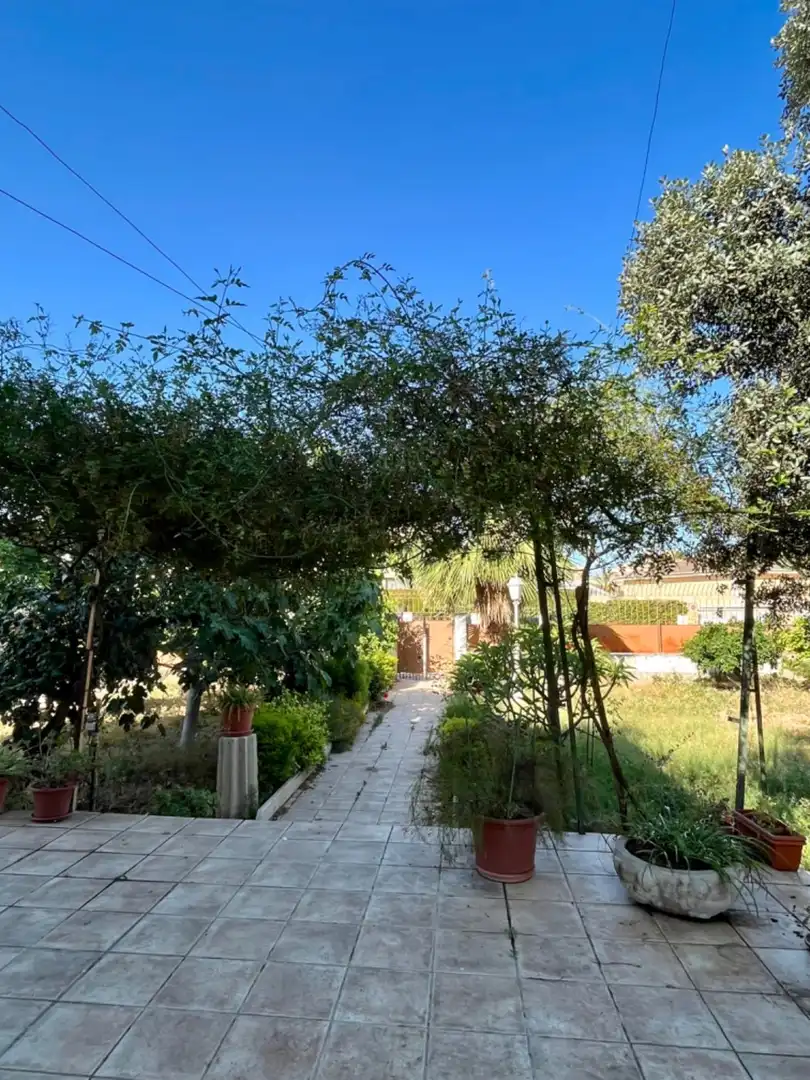 Villa avec terrasse à vendre à Elche ciudad, imagen 55