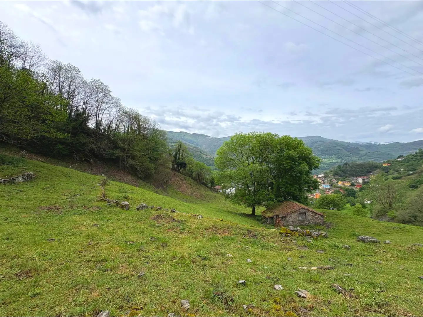 Casa o chalet en venta en Aller con Jardín privado