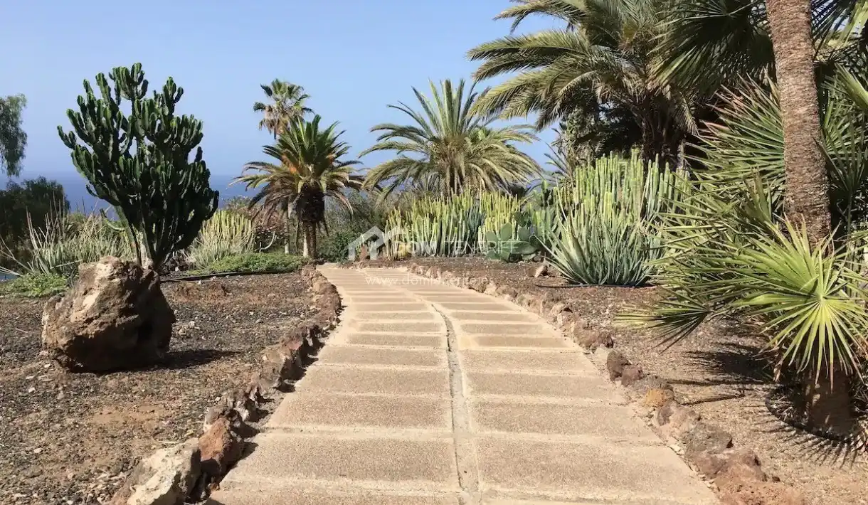 Vista exterior de Piso en venta en Adeje con Terraza, Piscina y Amueblado