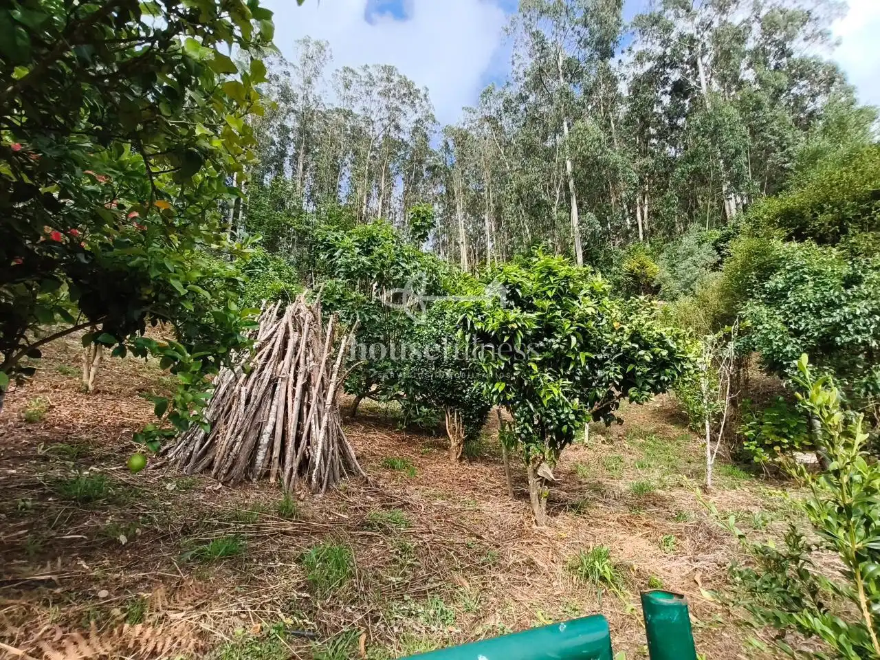 Casa o chalet en venta en Cedeira con Calefacción y Jardín privado