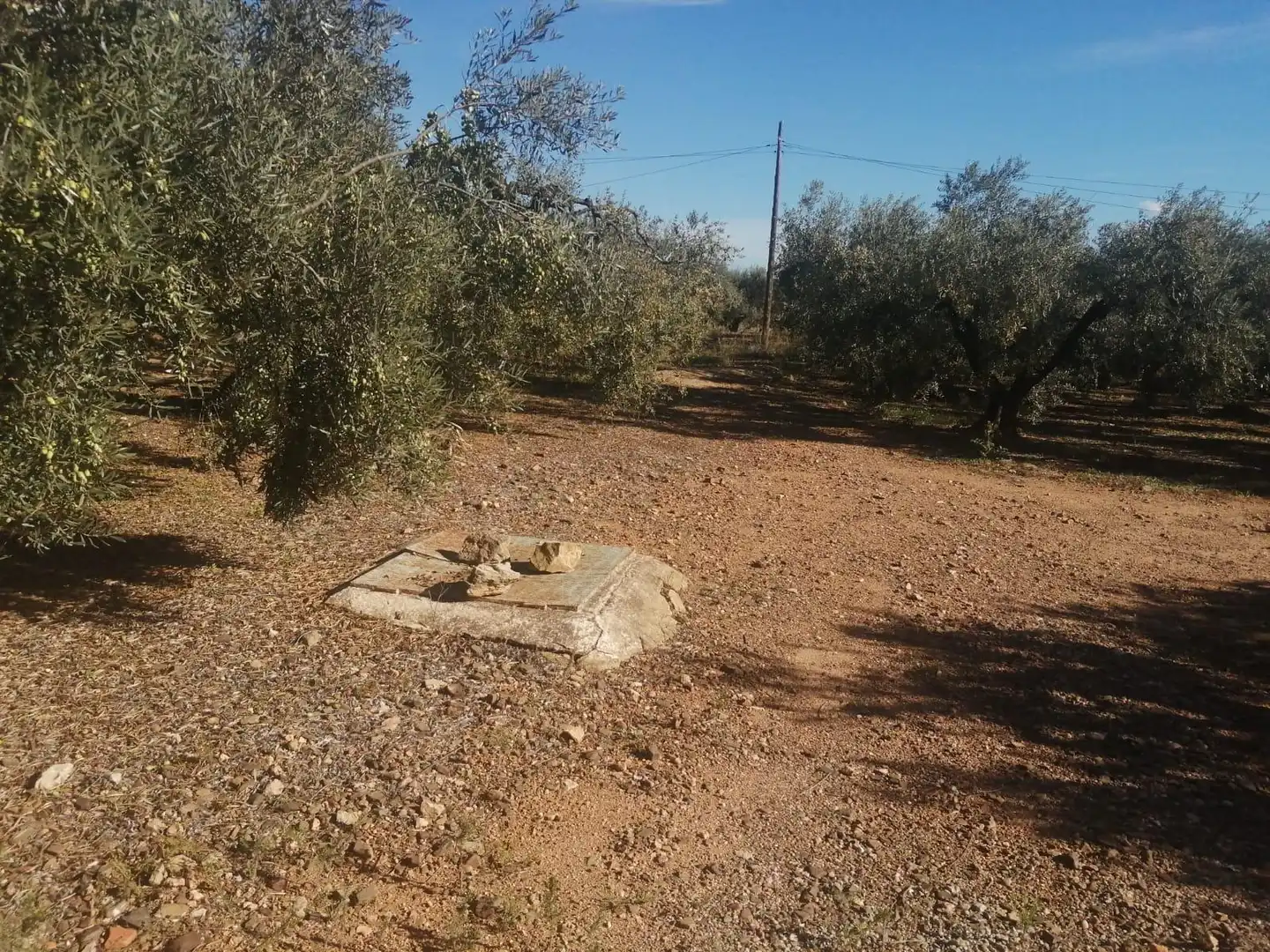 Villa in vendita a Riudoms, imagen 39