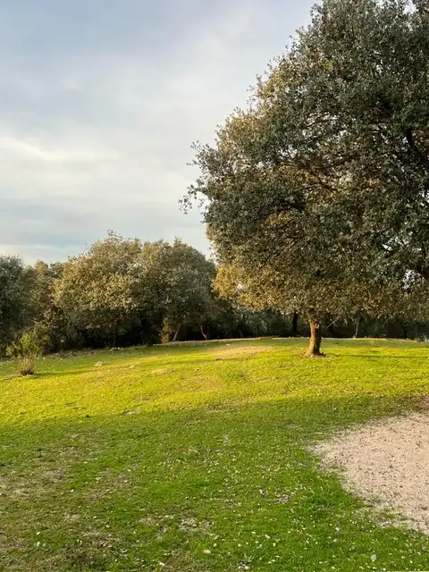 Terreno en venta en Almendral de la Cañada, Toledo
