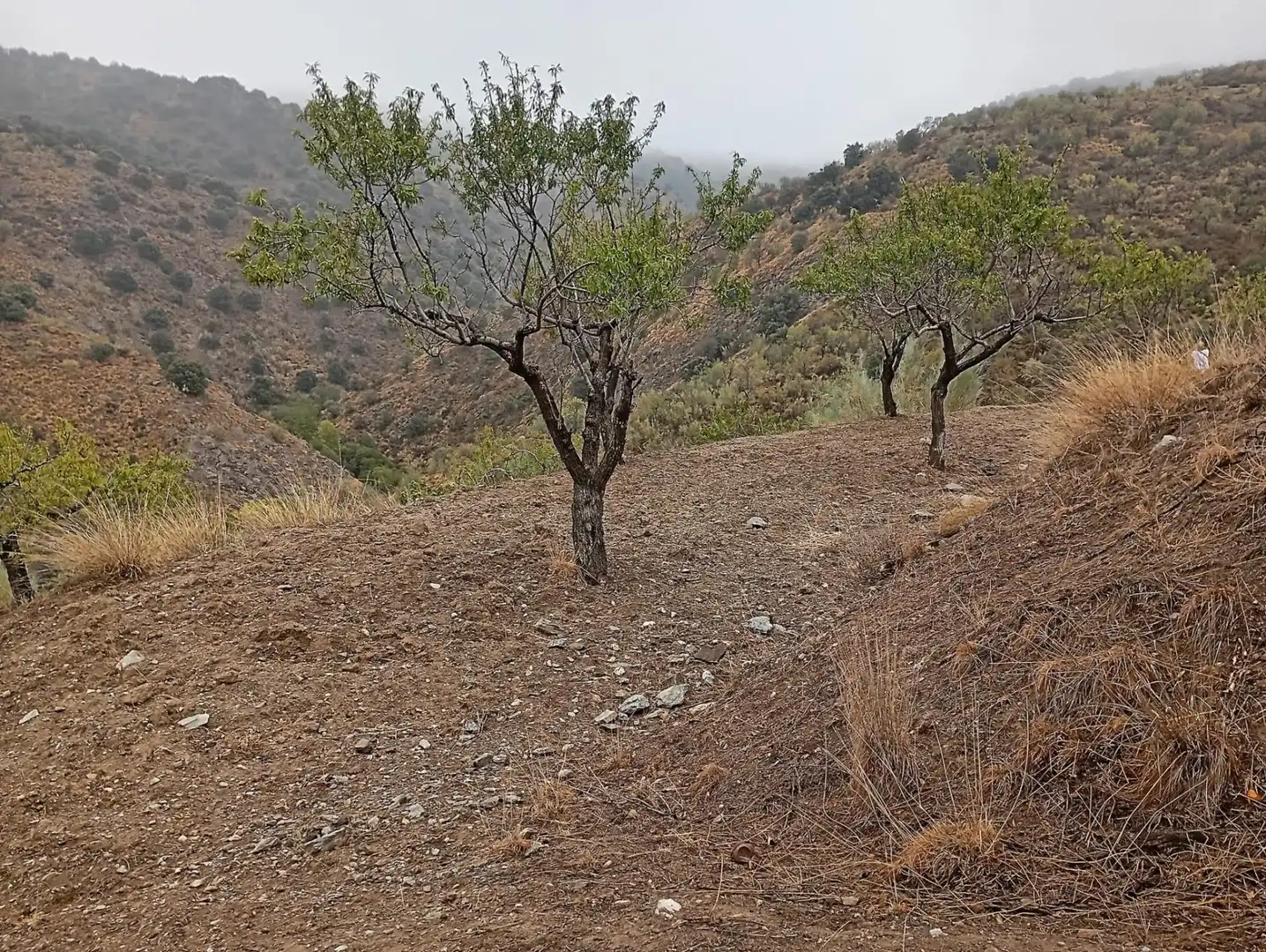 Residencial en venda en Sierro
