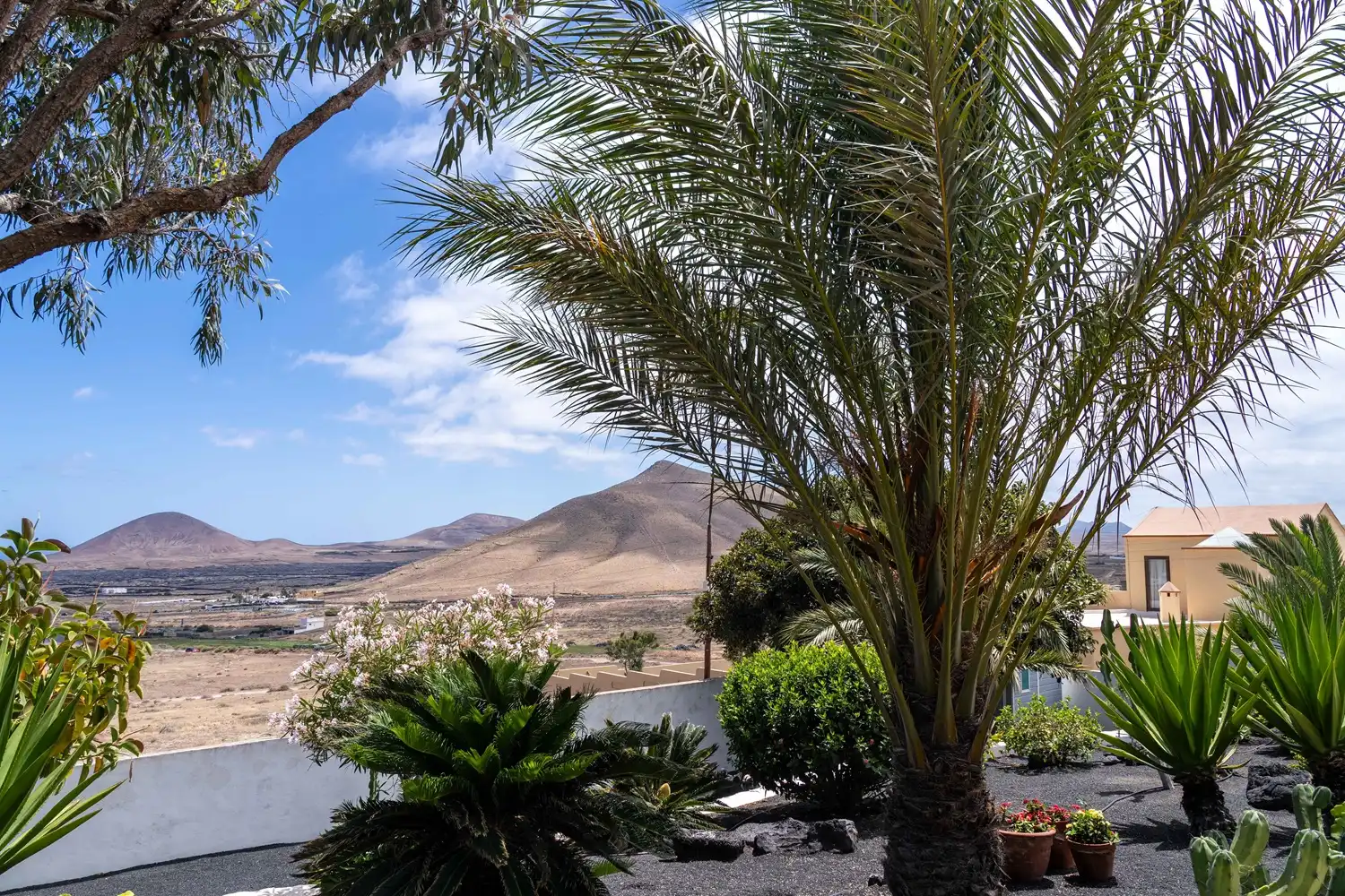 Vista exterior de Casa o xalet en venda en Teguise amb Jardí privat, Terrassa i Moblat