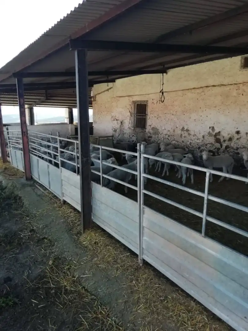 Vista exterior de Finca rústica en venda en Almadén de la Plata amb Calefacció i Terrassa