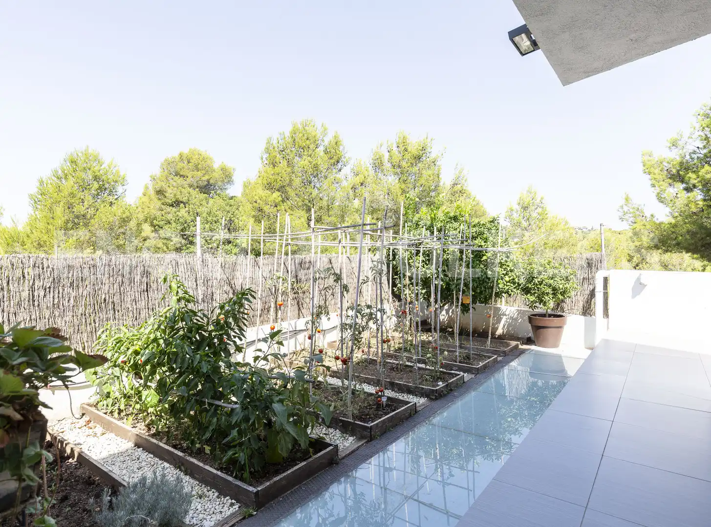 Casa con piscina in vendita a Coma-ruga platja, imagen 22