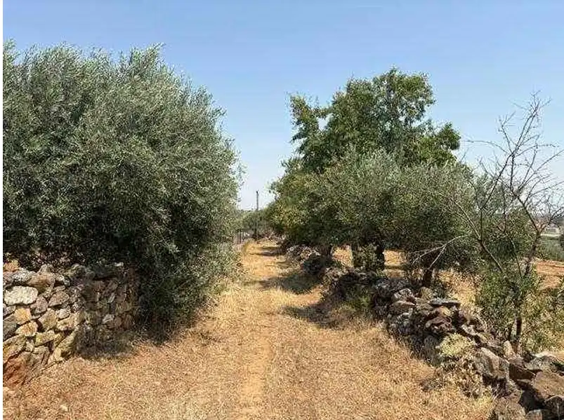 Maison à vendre à Valverde de Leganés, imagen 9