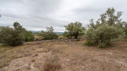 Finca rústica sin ninguna edificación y buen acceso, immagine 2