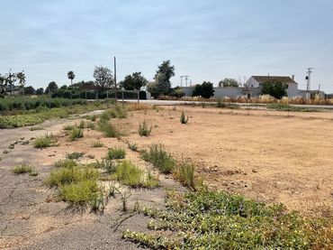 Terreny rústic en venda a Zona de la Vega