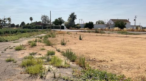 FINCA RÚSTICA CON VIVIENDA EN VENTA EN ANTEQUERA