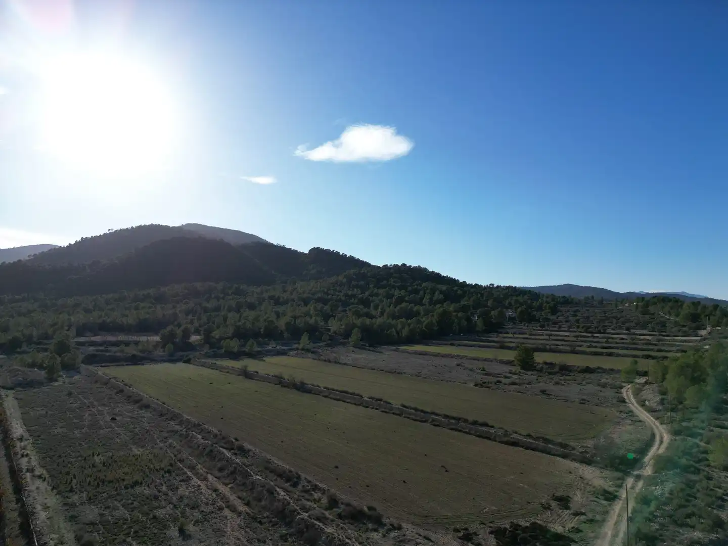 Terreny residencial en venda a Monóvar  / Monòver, imagen 7