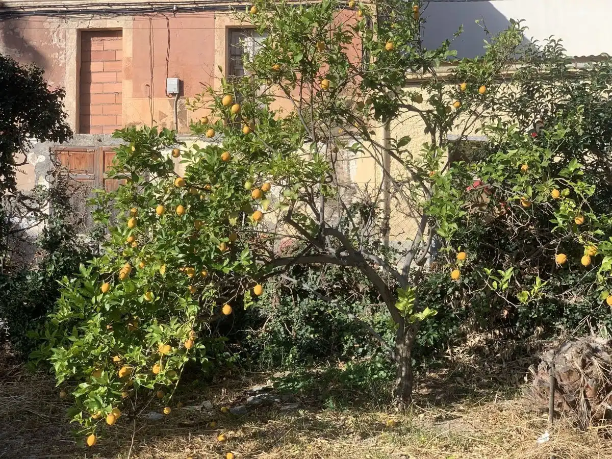 Garten von Country house zum Verkauf in Tortosa